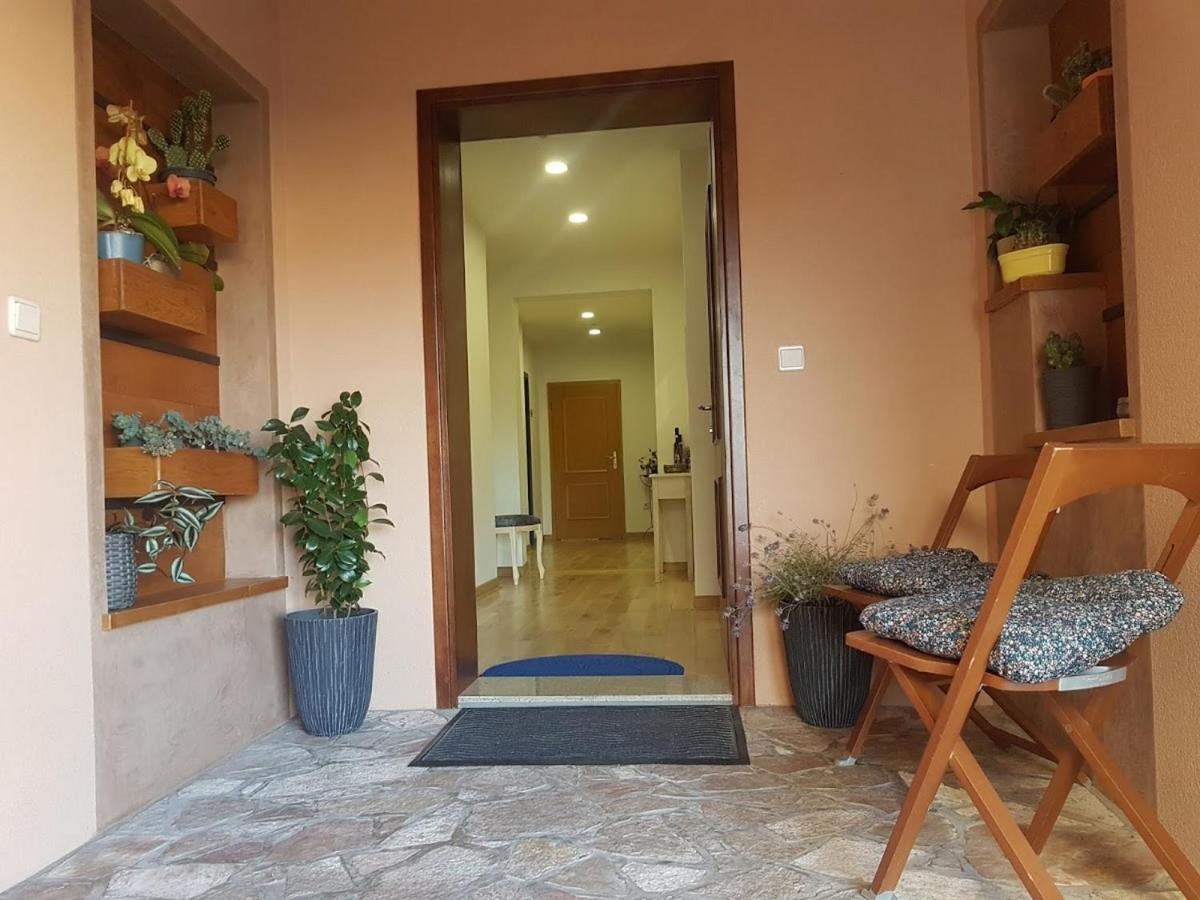 Magnolija Apartment *