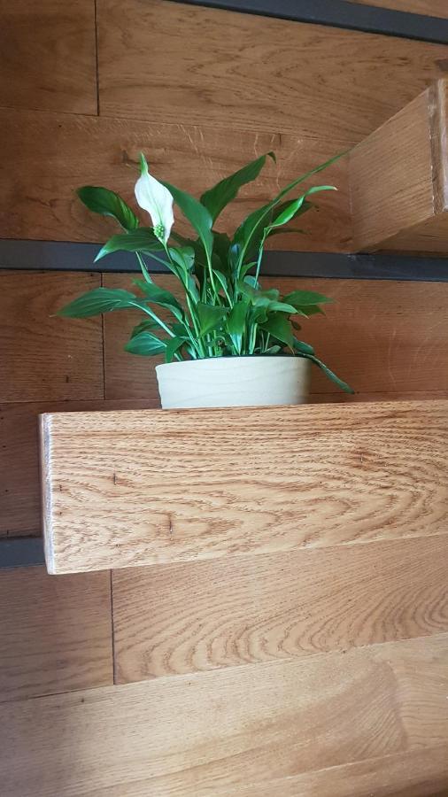 Apartment Magnolija Siroki Brijeg