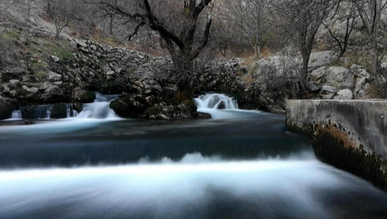Magnolija Siroki Brijeg
